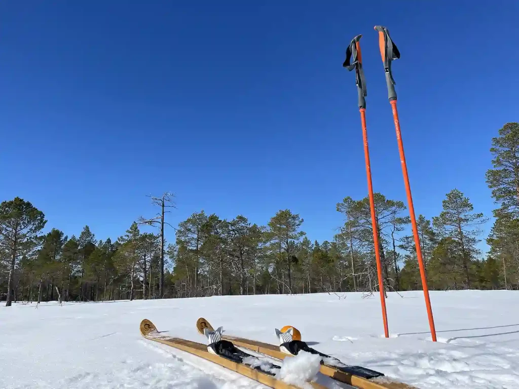 Ski og stav på snø med blå himmel - Lederutvikling