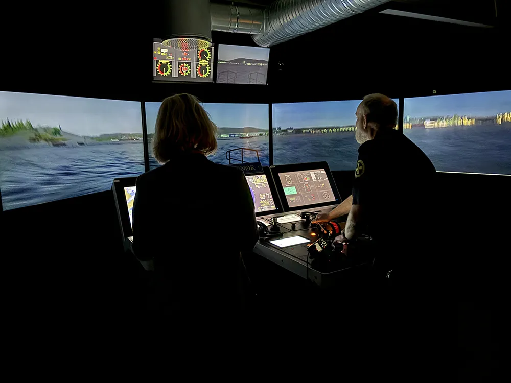 Lederutvikling - trening i simulator